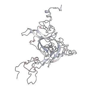 6652_5jut_G_v1-3
Saccharomyces cerevisiae 80S ribosome bound with elongation factor eEF2-GDP-sordarin and Taura Syndrome Virus IRES, Structure IV (almost non-rotated 40S subunit)