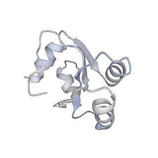 6652_5jut_HA_v1-3
Saccharomyces cerevisiae 80S ribosome bound with elongation factor eEF2-GDP-sordarin and Taura Syndrome Virus IRES, Structure IV (almost non-rotated 40S subunit)