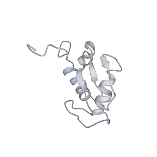 6652_5jut_HB_v1-3
Saccharomyces cerevisiae 80S ribosome bound with elongation factor eEF2-GDP-sordarin and Taura Syndrome Virus IRES, Structure IV (almost non-rotated 40S subunit)