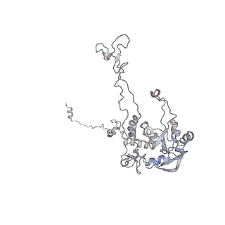 6652_5jut_H_v1-3
Saccharomyces cerevisiae 80S ribosome bound with elongation factor eEF2-GDP-sordarin and Taura Syndrome Virus IRES, Structure IV (almost non-rotated 40S subunit)