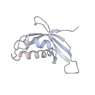 6652_5jut_IA_v1-3
Saccharomyces cerevisiae 80S ribosome bound with elongation factor eEF2-GDP-sordarin and Taura Syndrome Virus IRES, Structure IV (almost non-rotated 40S subunit)
