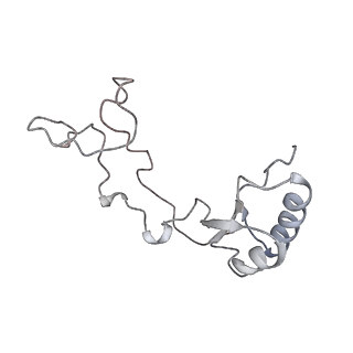6652_5jut_JA_v1-3
Saccharomyces cerevisiae 80S ribosome bound with elongation factor eEF2-GDP-sordarin and Taura Syndrome Virus IRES, Structure IV (almost non-rotated 40S subunit)