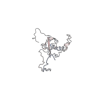 6652_5jut_J_v1-3
Saccharomyces cerevisiae 80S ribosome bound with elongation factor eEF2-GDP-sordarin and Taura Syndrome Virus IRES, Structure IV (almost non-rotated 40S subunit)