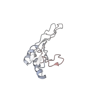 6652_5jut_LB_v1-3
Saccharomyces cerevisiae 80S ribosome bound with elongation factor eEF2-GDP-sordarin and Taura Syndrome Virus IRES, Structure IV (almost non-rotated 40S subunit)