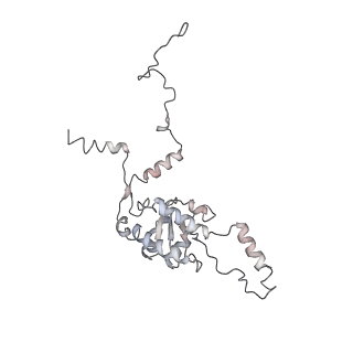 6652_5jut_L_v1-3
Saccharomyces cerevisiae 80S ribosome bound with elongation factor eEF2-GDP-sordarin and Taura Syndrome Virus IRES, Structure IV (almost non-rotated 40S subunit)