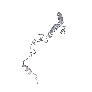 6652_5jut_MA_v1-3
Saccharomyces cerevisiae 80S ribosome bound with elongation factor eEF2-GDP-sordarin and Taura Syndrome Virus IRES, Structure IV (almost non-rotated 40S subunit)