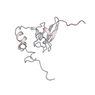 6652_5jut_MB_v1-3
Saccharomyces cerevisiae 80S ribosome bound with elongation factor eEF2-GDP-sordarin and Taura Syndrome Virus IRES, Structure IV (almost non-rotated 40S subunit)