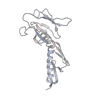 6652_5jut_M_v1-3
Saccharomyces cerevisiae 80S ribosome bound with elongation factor eEF2-GDP-sordarin and Taura Syndrome Virus IRES, Structure IV (almost non-rotated 40S subunit)