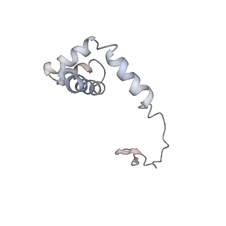 6652_5jut_NA_v1-3
Saccharomyces cerevisiae 80S ribosome bound with elongation factor eEF2-GDP-sordarin and Taura Syndrome Virus IRES, Structure IV (almost non-rotated 40S subunit)