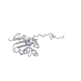 6652_5jut_NB_v1-3
Saccharomyces cerevisiae 80S ribosome bound with elongation factor eEF2-GDP-sordarin and Taura Syndrome Virus IRES, Structure IV (almost non-rotated 40S subunit)
