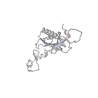 6652_5jut_N_v1-3
Saccharomyces cerevisiae 80S ribosome bound with elongation factor eEF2-GDP-sordarin and Taura Syndrome Virus IRES, Structure IV (almost non-rotated 40S subunit)