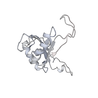 6652_5jut_O_v1-3
Saccharomyces cerevisiae 80S ribosome bound with elongation factor eEF2-GDP-sordarin and Taura Syndrome Virus IRES, Structure IV (almost non-rotated 40S subunit)