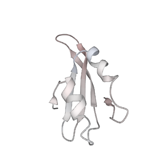 6652_5jut_PA_v1-3
Saccharomyces cerevisiae 80S ribosome bound with elongation factor eEF2-GDP-sordarin and Taura Syndrome Virus IRES, Structure IV (almost non-rotated 40S subunit)