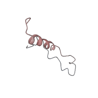 6652_5jut_QA_v1-3
Saccharomyces cerevisiae 80S ribosome bound with elongation factor eEF2-GDP-sordarin and Taura Syndrome Virus IRES, Structure IV (almost non-rotated 40S subunit)