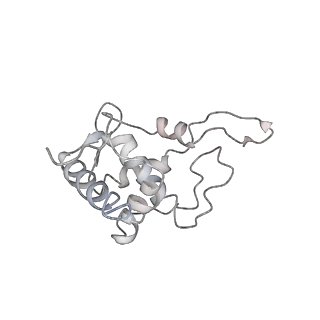 6652_5jut_QB_v1-3
Saccharomyces cerevisiae 80S ribosome bound with elongation factor eEF2-GDP-sordarin and Taura Syndrome Virus IRES, Structure IV (almost non-rotated 40S subunit)