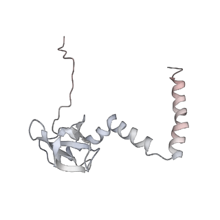 6652_5jut_R_v1-3
Saccharomyces cerevisiae 80S ribosome bound with elongation factor eEF2-GDP-sordarin and Taura Syndrome Virus IRES, Structure IV (almost non-rotated 40S subunit)