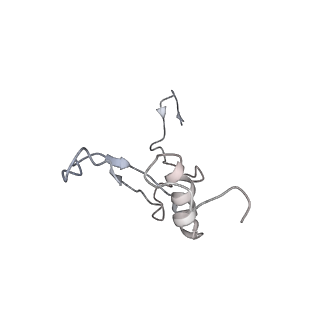 6652_5jut_SB_v1-3
Saccharomyces cerevisiae 80S ribosome bound with elongation factor eEF2-GDP-sordarin and Taura Syndrome Virus IRES, Structure IV (almost non-rotated 40S subunit)