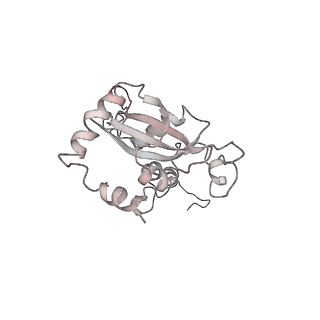6652_5jut_S_v1-3
Saccharomyces cerevisiae 80S ribosome bound with elongation factor eEF2-GDP-sordarin and Taura Syndrome Virus IRES, Structure IV (almost non-rotated 40S subunit)