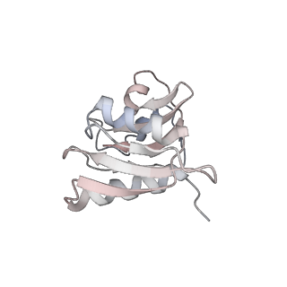 6652_5jut_TB_v1-3
Saccharomyces cerevisiae 80S ribosome bound with elongation factor eEF2-GDP-sordarin and Taura Syndrome Virus IRES, Structure IV (almost non-rotated 40S subunit)