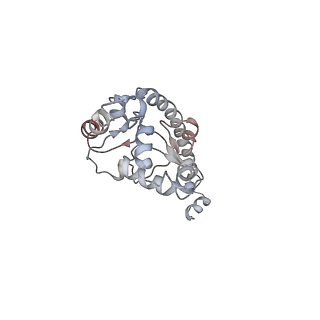 6652_5jut_T_v1-3
Saccharomyces cerevisiae 80S ribosome bound with elongation factor eEF2-GDP-sordarin and Taura Syndrome Virus IRES, Structure IV (almost non-rotated 40S subunit)