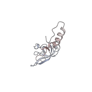 6652_5jut_UB_v1-3
Saccharomyces cerevisiae 80S ribosome bound with elongation factor eEF2-GDP-sordarin and Taura Syndrome Virus IRES, Structure IV (almost non-rotated 40S subunit)