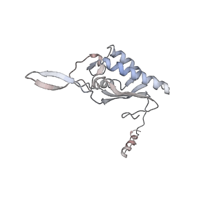 6652_5jut_U_v1-3
Saccharomyces cerevisiae 80S ribosome bound with elongation factor eEF2-GDP-sordarin and Taura Syndrome Virus IRES, Structure IV (almost non-rotated 40S subunit)