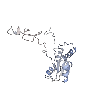 6652_5jut_V_v1-3
Saccharomyces cerevisiae 80S ribosome bound with elongation factor eEF2-GDP-sordarin and Taura Syndrome Virus IRES, Structure IV (almost non-rotated 40S subunit)