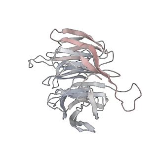 6652_5jut_WA_v1-3
Saccharomyces cerevisiae 80S ribosome bound with elongation factor eEF2-GDP-sordarin and Taura Syndrome Virus IRES, Structure IV (almost non-rotated 40S subunit)