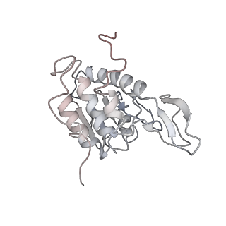 6652_5jut_XA_v1-3
Saccharomyces cerevisiae 80S ribosome bound with elongation factor eEF2-GDP-sordarin and Taura Syndrome Virus IRES, Structure IV (almost non-rotated 40S subunit)