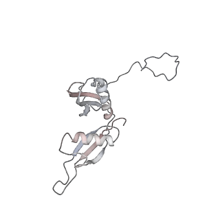 6652_5jut_X_v1-3
Saccharomyces cerevisiae 80S ribosome bound with elongation factor eEF2-GDP-sordarin and Taura Syndrome Virus IRES, Structure IV (almost non-rotated 40S subunit)