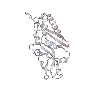 6652_5jut_YA_v1-3
Saccharomyces cerevisiae 80S ribosome bound with elongation factor eEF2-GDP-sordarin and Taura Syndrome Virus IRES, Structure IV (almost non-rotated 40S subunit)