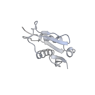 6652_5jut_Z_v1-3
Saccharomyces cerevisiae 80S ribosome bound with elongation factor eEF2-GDP-sordarin and Taura Syndrome Virus IRES, Structure IV (almost non-rotated 40S subunit)