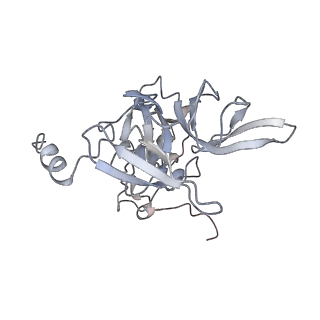 6653_5juu_BB_v1-3
Saccharomyces cerevisiae 80S ribosome bound with elongation factor eEF2-GDP-sordarin and Taura Syndrome Virus IRES, Structure V (least rotated 40S subunit)