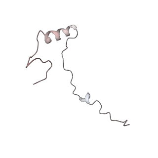6653_5juu_BC_v1-3
Saccharomyces cerevisiae 80S ribosome bound with elongation factor eEF2-GDP-sordarin and Taura Syndrome Virus IRES, Structure V (least rotated 40S subunit)