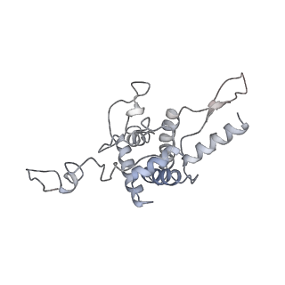 6653_5juu_CB_v1-3
Saccharomyces cerevisiae 80S ribosome bound with elongation factor eEF2-GDP-sordarin and Taura Syndrome Virus IRES, Structure V (least rotated 40S subunit)
