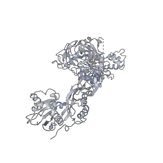 6653_5juu_DC_v1-3
Saccharomyces cerevisiae 80S ribosome bound with elongation factor eEF2-GDP-sordarin and Taura Syndrome Virus IRES, Structure V (least rotated 40S subunit)