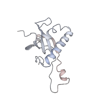 6653_5juu_EA_v1-3
Saccharomyces cerevisiae 80S ribosome bound with elongation factor eEF2-GDP-sordarin and Taura Syndrome Virus IRES, Structure V (least rotated 40S subunit)