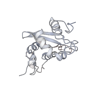 6653_5juu_EB_v1-3
Saccharomyces cerevisiae 80S ribosome bound with elongation factor eEF2-GDP-sordarin and Taura Syndrome Virus IRES, Structure V (least rotated 40S subunit)