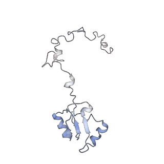 6653_5juu_FA_v1-3
Saccharomyces cerevisiae 80S ribosome bound with elongation factor eEF2-GDP-sordarin and Taura Syndrome Virus IRES, Structure V (least rotated 40S subunit)