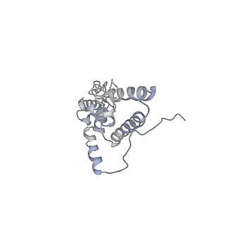 6653_5juu_GB_v1-3
Saccharomyces cerevisiae 80S ribosome bound with elongation factor eEF2-GDP-sordarin and Taura Syndrome Virus IRES, Structure V (least rotated 40S subunit)