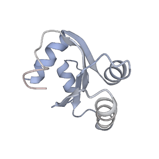 6653_5juu_HA_v1-3
Saccharomyces cerevisiae 80S ribosome bound with elongation factor eEF2-GDP-sordarin and Taura Syndrome Virus IRES, Structure V (least rotated 40S subunit)