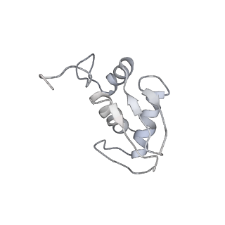 6653_5juu_HB_v1-3
Saccharomyces cerevisiae 80S ribosome bound with elongation factor eEF2-GDP-sordarin and Taura Syndrome Virus IRES, Structure V (least rotated 40S subunit)