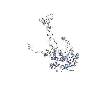 6653_5juu_H_v1-3
Saccharomyces cerevisiae 80S ribosome bound with elongation factor eEF2-GDP-sordarin and Taura Syndrome Virus IRES, Structure V (least rotated 40S subunit)