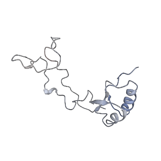 6653_5juu_JA_v1-3
Saccharomyces cerevisiae 80S ribosome bound with elongation factor eEF2-GDP-sordarin and Taura Syndrome Virus IRES, Structure V (least rotated 40S subunit)