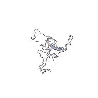 6653_5juu_J_v1-3
Saccharomyces cerevisiae 80S ribosome bound with elongation factor eEF2-GDP-sordarin and Taura Syndrome Virus IRES, Structure V (least rotated 40S subunit)