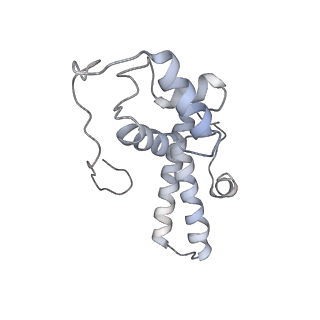 6653_5juu_KB_v1-3
Saccharomyces cerevisiae 80S ribosome bound with elongation factor eEF2-GDP-sordarin and Taura Syndrome Virus IRES, Structure V (least rotated 40S subunit)