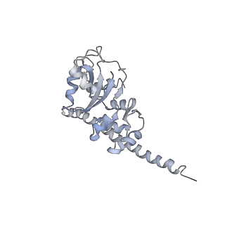6653_5juu_K_v1-3
Saccharomyces cerevisiae 80S ribosome bound with elongation factor eEF2-GDP-sordarin and Taura Syndrome Virus IRES, Structure V (least rotated 40S subunit)