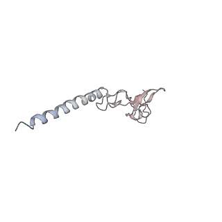 6653_5juu_LA_v1-3
Saccharomyces cerevisiae 80S ribosome bound with elongation factor eEF2-GDP-sordarin and Taura Syndrome Virus IRES, Structure V (least rotated 40S subunit)