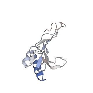 6653_5juu_LB_v1-3
Saccharomyces cerevisiae 80S ribosome bound with elongation factor eEF2-GDP-sordarin and Taura Syndrome Virus IRES, Structure V (least rotated 40S subunit)