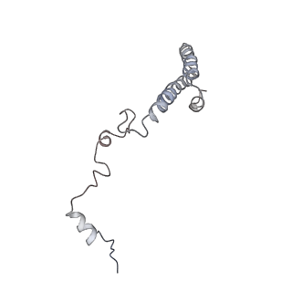 6653_5juu_MA_v1-3
Saccharomyces cerevisiae 80S ribosome bound with elongation factor eEF2-GDP-sordarin and Taura Syndrome Virus IRES, Structure V (least rotated 40S subunit)